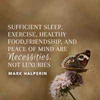 Necessities Not Luxuries by Mark Halperin