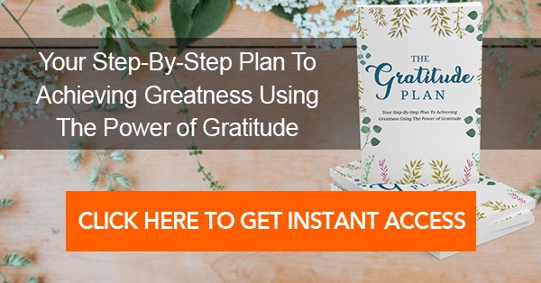 The Gratitude Plan: Your 52 Week Plan To Achieve Greatness Using The Power of Gratitude Ebook
