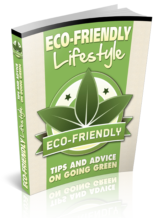 Eco Friendly Lifestyle eBook