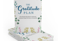 The Gratitude Plan Ebook